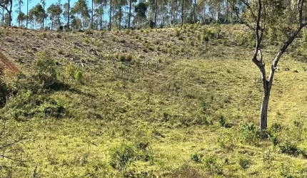 Vendo terreno pronto para construir sua chácara