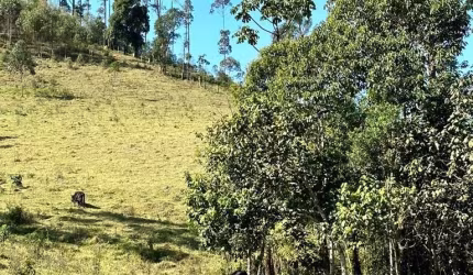 Vendo terrenos de 600 e 1.000m² com acesso a lago