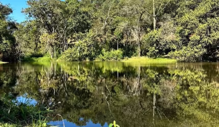 Vende-se lote com ótima vista panorâmica