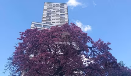 Sala Comercial à venda Centro Histórico Porto Alegre/RS