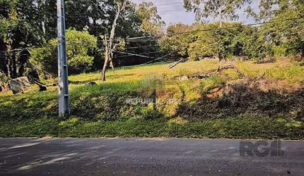 Sítio 2 dormitórios à venda Belém Velho Porto Alegre/RS