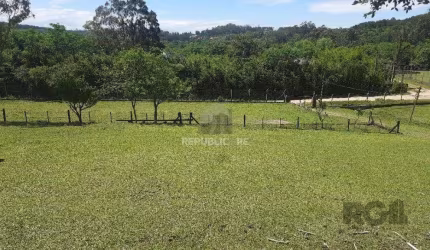 Sítio 3 dormitórios à venda Branquinha Viamão/RS
