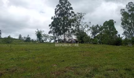Sítio 3 dormitórios à venda Florida Guaíba/RS