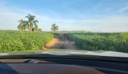 Fazenda apenas 50 quilômetros de PORTO ALEGRE