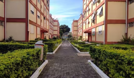 apto 01 dormitório, recentemente reformado, vaga rotativa -  Bairro Camaquã