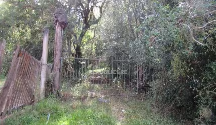 Área 53851,44 m²  no Beco da Paixão Bairro Lomba do Pinheiro