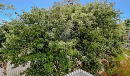 Apartamento 3 dormitórios à venda Teresópolis Porto Alegre/RS