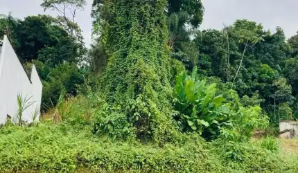 TERRENO COSTA E SILVA