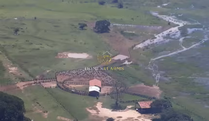 Fazenda a Venda no Pantanal de Poconé MT