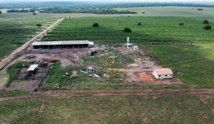 FAZENDA EM TANGARA DA SERRA MT