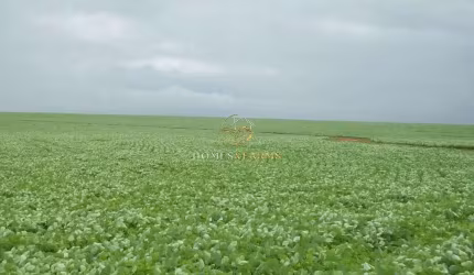 BELÍSSIMA FAZENDA EM SANTANA ARAGUAIA - PA