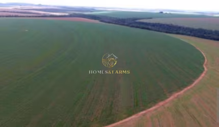 Fazenda a Venda Município: entre paredão e primavera -  MT