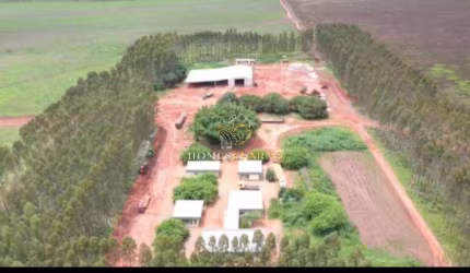FAZENDA A VENDA A 70 KM DE PRIMAVERA DO LESTE MT.