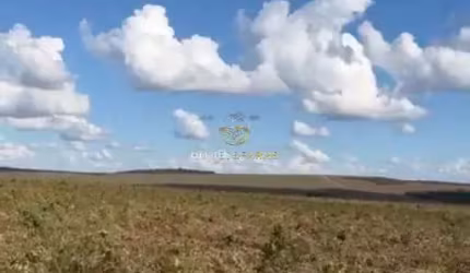 Fazenda a Venda Região Paranatinga - MT