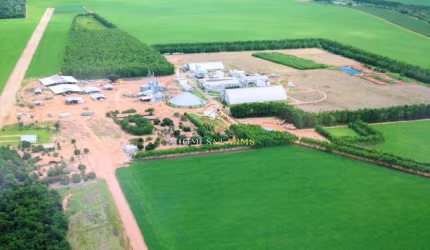 FAZENDA COM FABRICA DE ÓLEOS VEGETAIS EM NOVA MUTU/ MT.