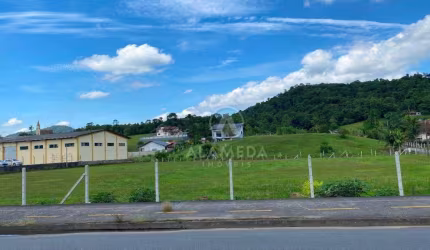 Terreno, 5000 m² - venda por R$ 4.500.000,00 ou aluguel por R$ 2.100,00/mês - Fidélis - Blumenau/SC