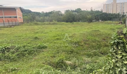 Terreno à venda, 43356 m² por R$ 2.800.000,00 - Itoupava Central - Blumenau/SC