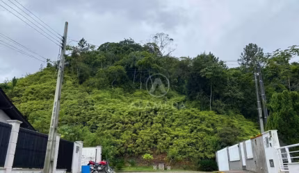 Terreno à venda, 70000 m² por R$ 1.500.000,00 - Gaspar Grande - Gaspar/SC