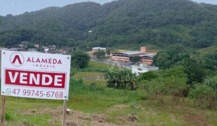 Terreno à venda, 370 m² por R$ 350.000,01 - Fortaleza Alta - Blumenau/SC