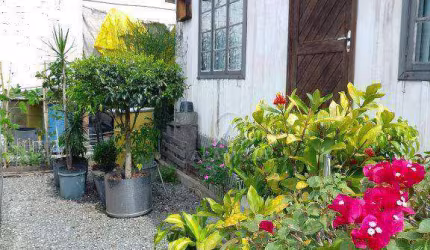 Terreno com uma casa de madeira