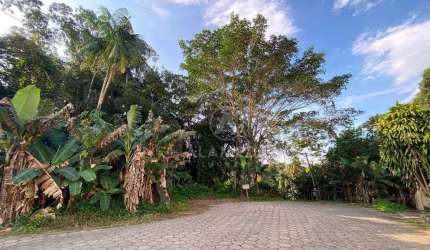 Terreno à venda, 553 m² por R$ 330.000,00 - Fortaleza - Blumenau/SC