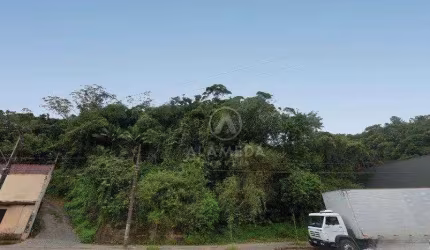Terreno à venda, 1049 m² por R$ 700.000,01 - Ponta Aguda - Blumenau/SC