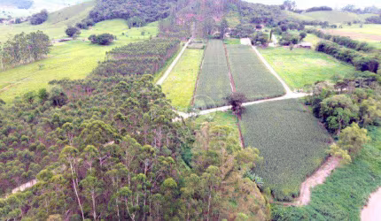 terreno gaspar
