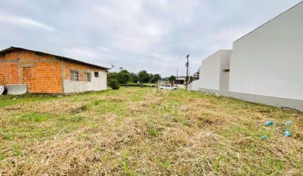 Terreno à venda, 360 m² por R$ 199.000,01 - Figueira - Gaspar/SC