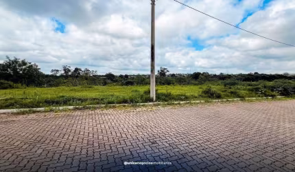 Lote/Terreno, São Jorge - Portão