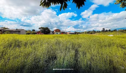 Lote/Terreno, São Jorge - Portão
