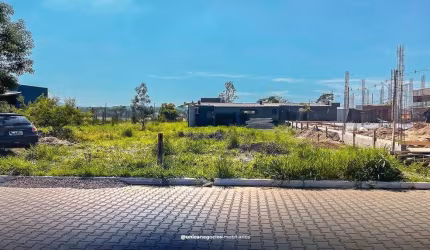 Lote/Terreno, Jardim Cecilia - Portão