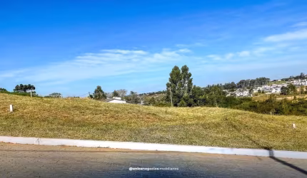 Loteamento Flores, Lote à venda, San Ciro - Portão