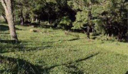 Área de Terra à venda em Alto Da Serra (mailasqui) - SP