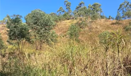 Terreno à venda em Caete (mailasqui) - SP