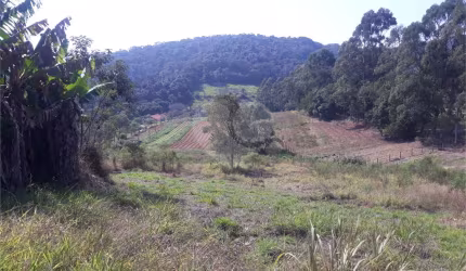 Terreno à venda em Centro (canguera) - SP