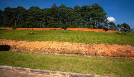 Terreno à venda em Vila Darcy Penteado (mailasqui) - SP