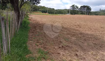 Terreno à venda em Centro (canguera) - SP
