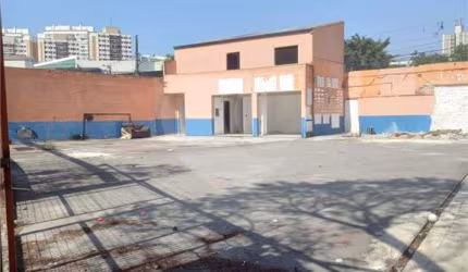 Galpão para locação em Jardim Avenida - SP