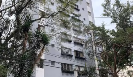 Apartamento Vl Mascote