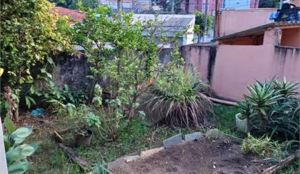 Campo Grande é considerado uma das melhores regiões de São Paulo para se viver bem.