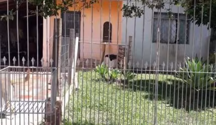 Casa com 2 quartos à venda na Maria Bernardina dos Santos Magnus, 153, Rubem Berta, Porto Alegre, 155 m2 por R$ 332.000