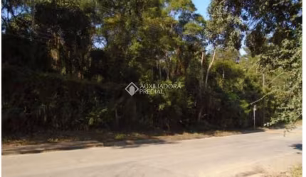 Terreno comercial à venda na Eduardo Valeriano Nardelli, 6, Centro de Ouro Fino Paulista, Ribeirão Pires, 30200 m2 por R$ 980.000
