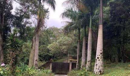 Chácara com 4 dormitórios à venda, 6500 m² por R$ 895.000,00 - Rio Grande - São Bernardo do Campo/SP