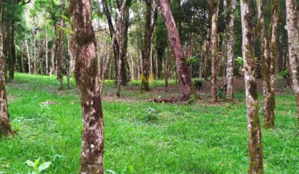 Chácara à venda no Recreio da Serra em Piraquara!!!