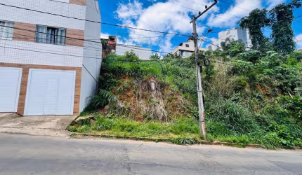 Lote / Terreno - São Pedro