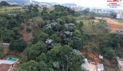 Lote / Terreno - Ipiranga