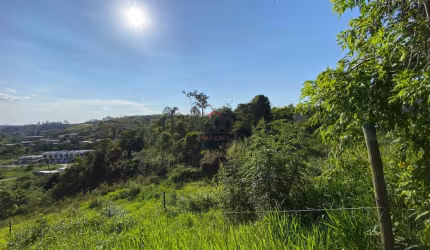 Lote / Terreno - Grama