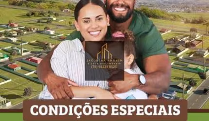 Lote excelente em transversal da Artêmia Pires