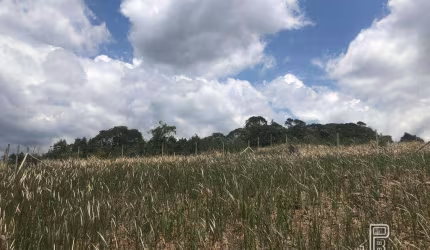 Terreno à venda, 630 m² - Pessegueiros - Teresópolis/RJ