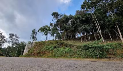 Terreno à venda, 567 m² por R$ 155.000,00 - Vargem Grande - Teresópolis/RJ
